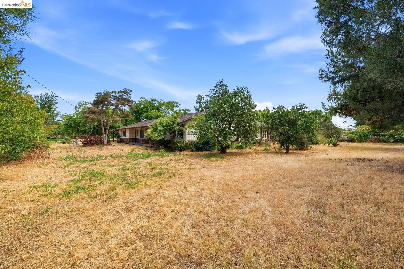 1590 Sunset Road Brentwood, CA 94513 - Photo 44 of 45 Expansive undeveloped yard space with mature trees and established perimeter landscaping