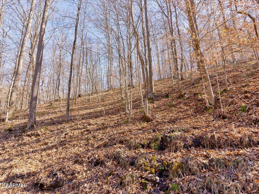 Poplar Grove Road Harrogate, TN 37752 - Photo 1 of 28 Poplar Grove Road - 1