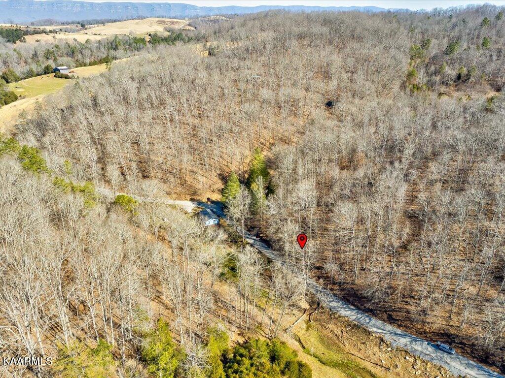 Poplar Grove Road Harrogate, TN 37752 - Photo 13 of 28 Poplar Grove Road - 14