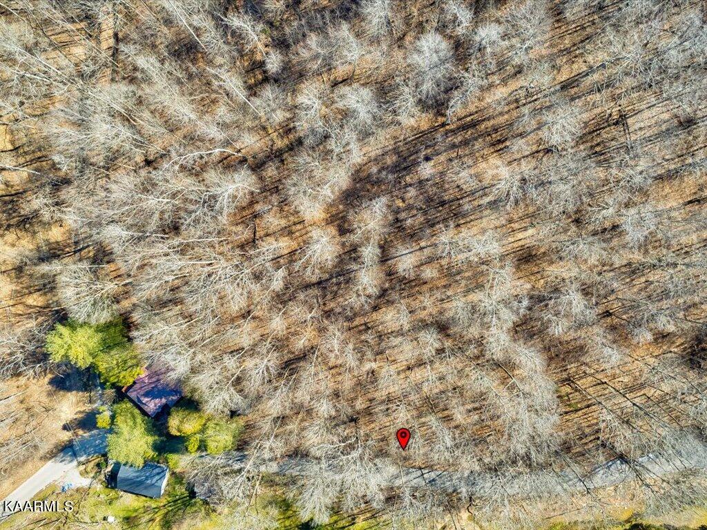 Poplar Grove Road Harrogate, TN 37752 - Photo 15 of 28 Poplar Grove Road - 16
