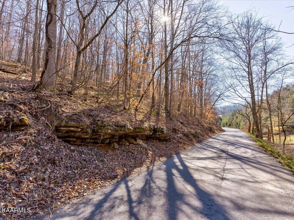 Poplar Grove Road Harrogate, TN 37752 - Photo 2 of 28 Poplar Grove Road - 2