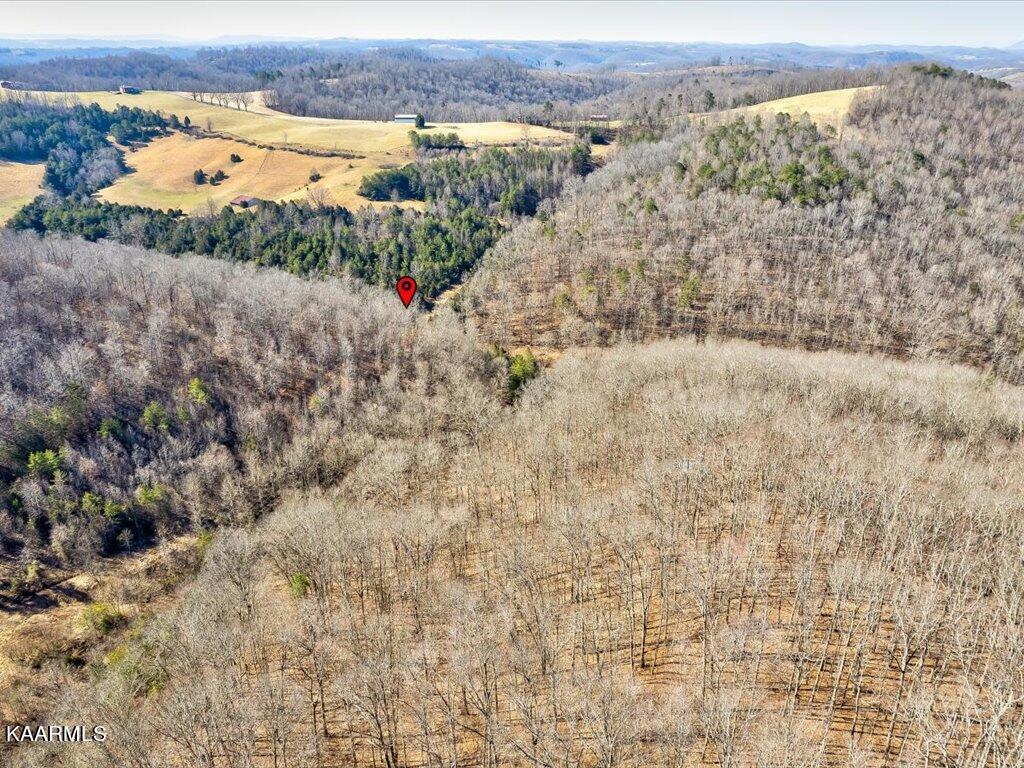 Poplar Grove Road Harrogate, TN 37752 - Photo 8 of 28 Poplar Grove Road - 8