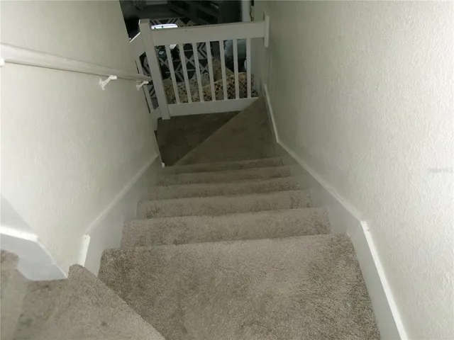 $1,850 | 4336 Har Paul Circle, Tampa, FL 33614