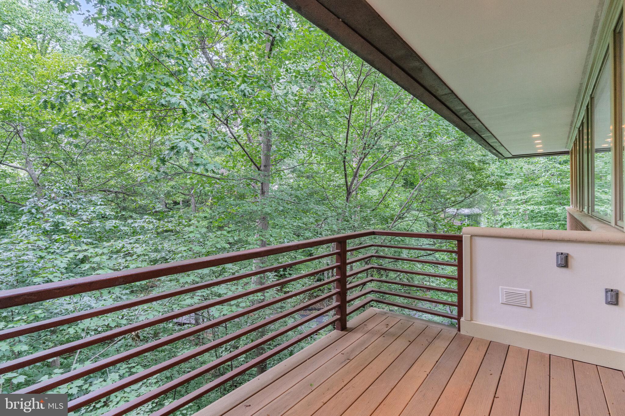 2807 Chesterfield Place Northwest Washington, DC 20008 - Photo 13 of 46 Surrounded by Nature