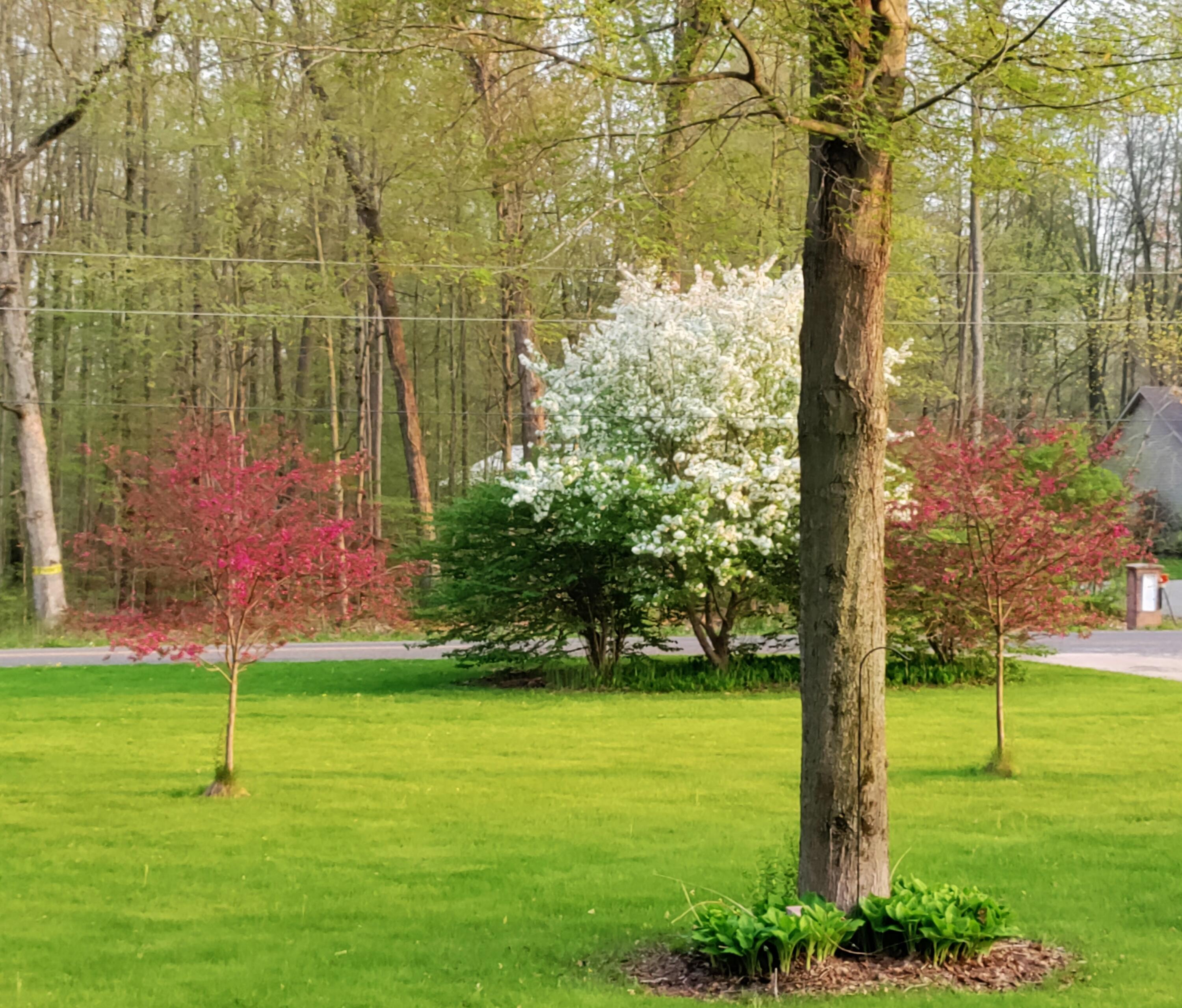 30170 Beeson Street Dowagiac, MI 49047 - Photo 32 of 60 IMG_20220510_200325