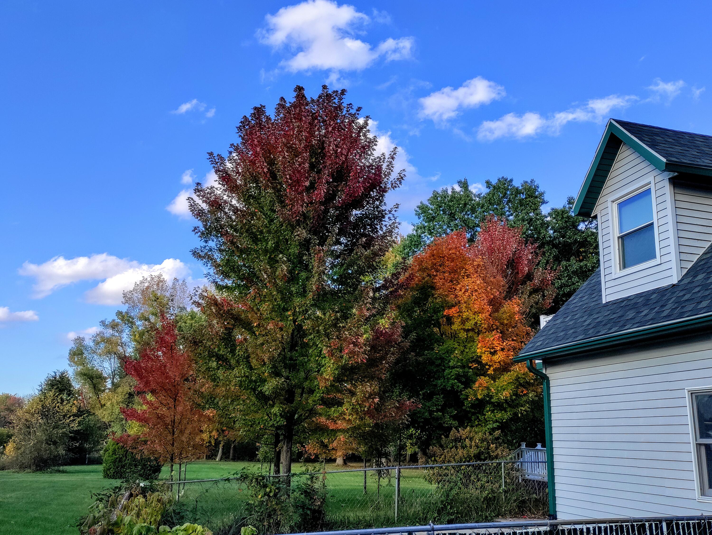 30170 Beeson Street Dowagiac, MI 49047 - Photo 34 of 60 IMG_20231017_171717