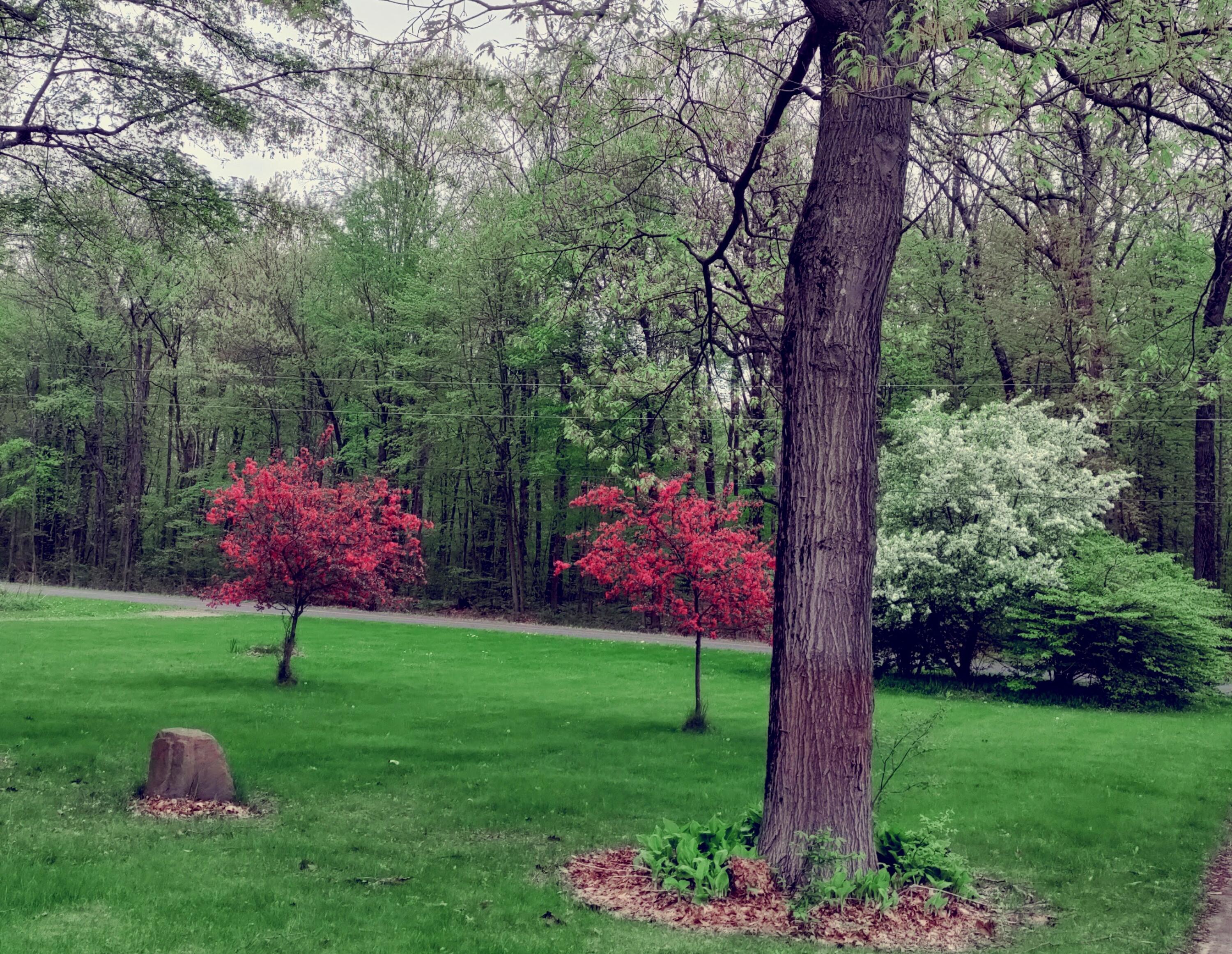 30170 Beeson Street Dowagiac, MI 49047 - Photo 37 of 60 original_334359a8-96ba-4f45-8dd3-be716a0