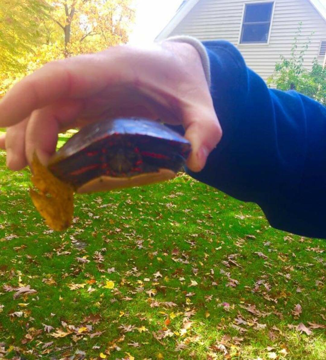 30170 Beeson Street Dowagiac, MI 49047 - Photo 40 of 60 Screenshot_20220601-105234