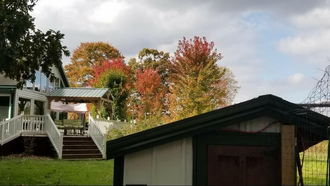 30170 Beeson Street Dowagiac, MI 49047 - Photo 47 of 60 Screenshot_20220601-110645