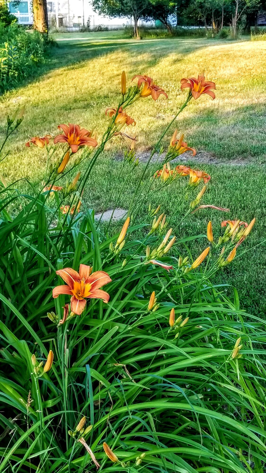 30170 Beeson Street Dowagiac, MI 49047 - Photo 49 of 60 20200630_204114~2