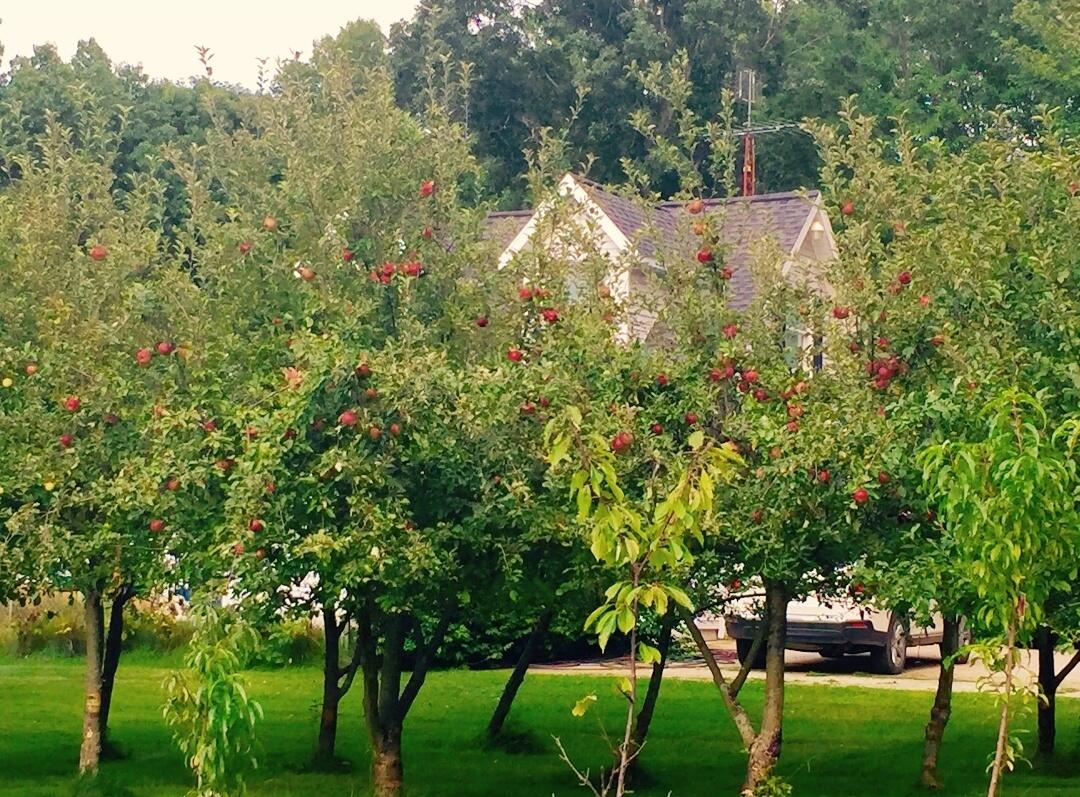 30170 Beeson Street Dowagiac, MI 49047 - Photo 53 of 60 Screenshot_20220601-115725