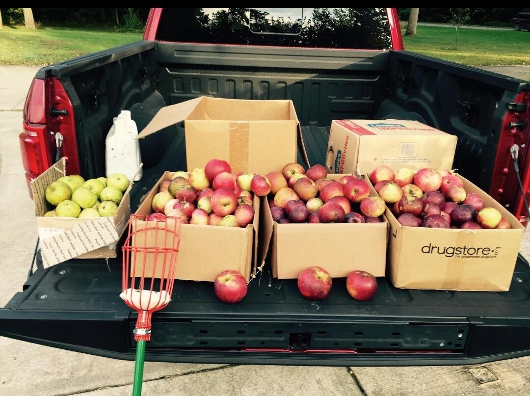 30170 Beeson Street Dowagiac, MI 49047 - Photo 54 of 60 Screenshot_20220601-115754