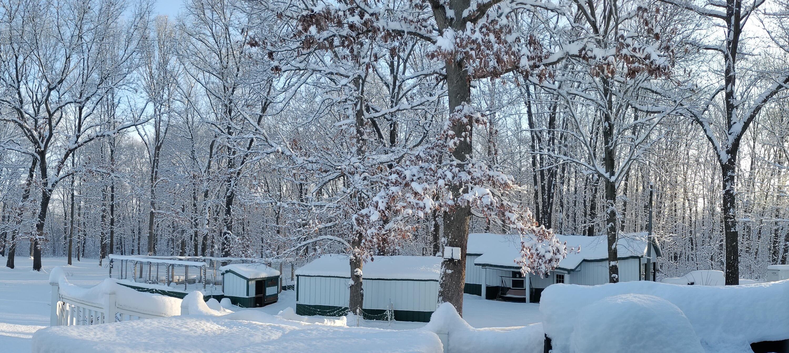 30170 Beeson Street Dowagiac, MI 49047 - Photo 55 of 60 IMG_20240120_091125~2