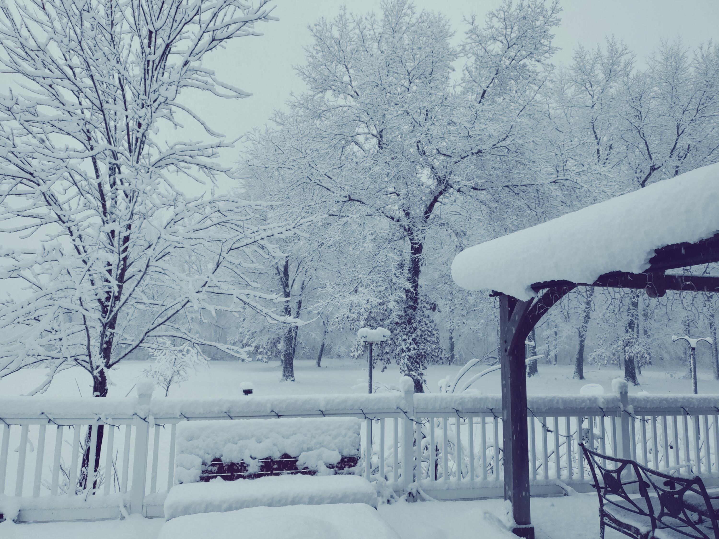 30170 Beeson Street Dowagiac, MI 49047 - Photo 57 of 60 IMG_20221116_080601