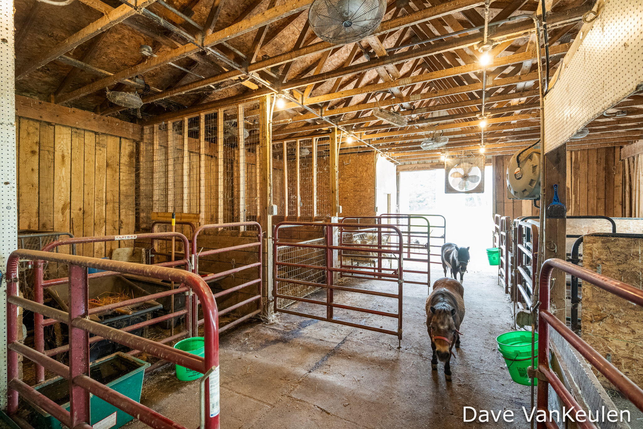 4494 Barber Road Hastings, MI 49058 - Photo 57 of 71 62-web-or-mls-4494 Barber Rd-62