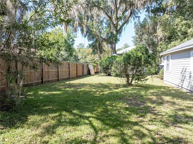 a view of backyard with tree