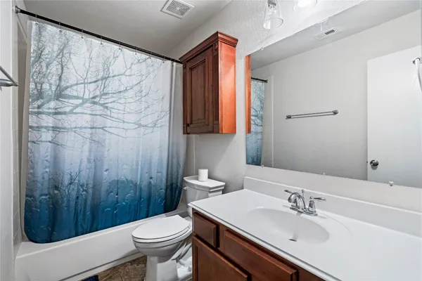 a bathroom with a sink a toilet and shower curtain