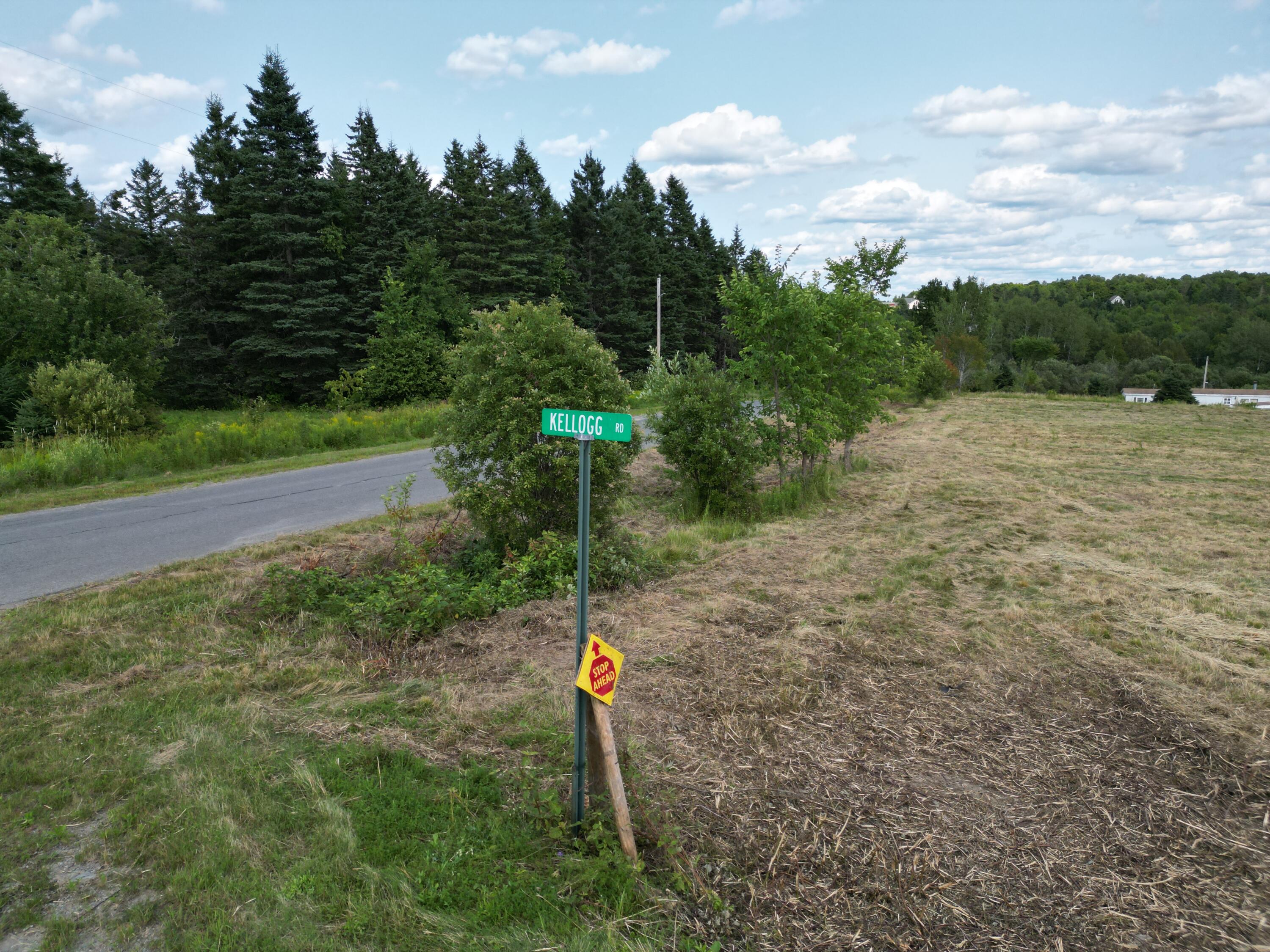 Lot 7 Happy Corner Road Patten, ME 04765 - Photo 17 of 23 DJI_0955