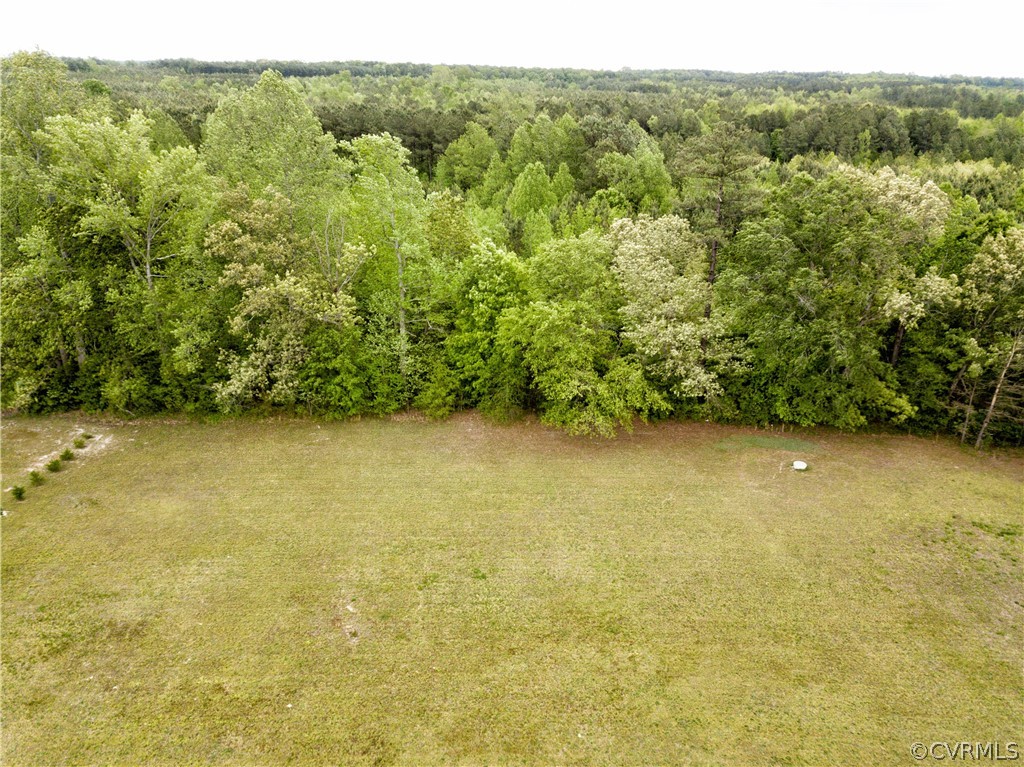 20667 Horseshoe Road Carson, VA 23830 - Photo 8 of 47 Gallery Image 8
