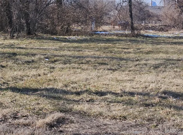 $15,000 | 1415 South J Street, East St. Louis, IL 62207