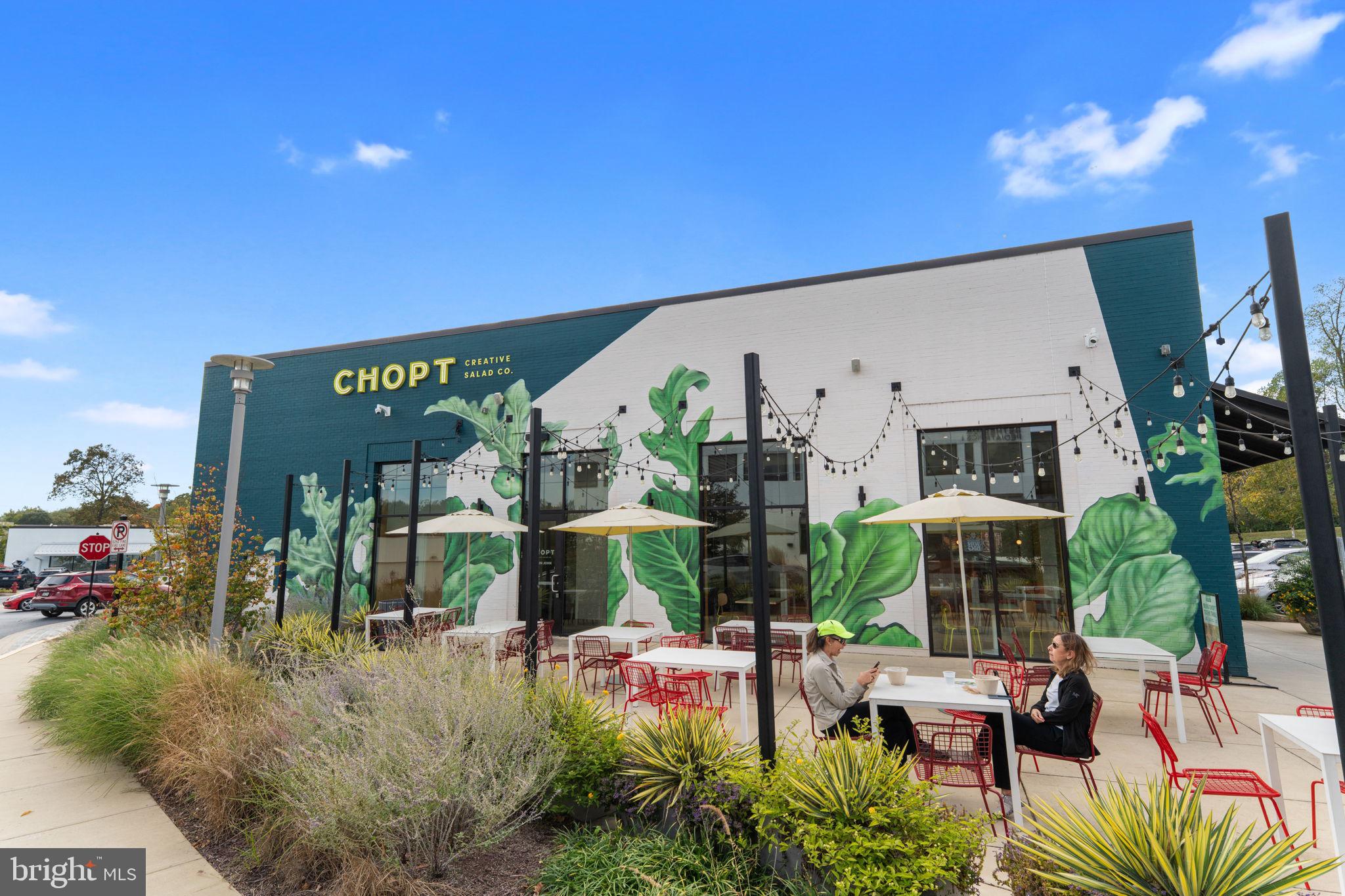 9 Snug Hill Court Potomac, MD 20854 - Photo 54 of 66 a view of a chairs and table in a backyard