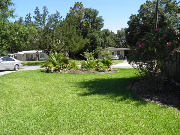 a view of a couches in a backyard