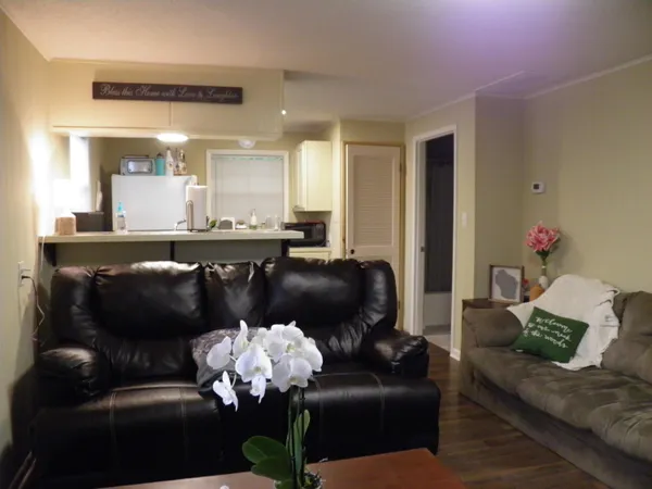 a living room with furniture flowerpot and a mirror