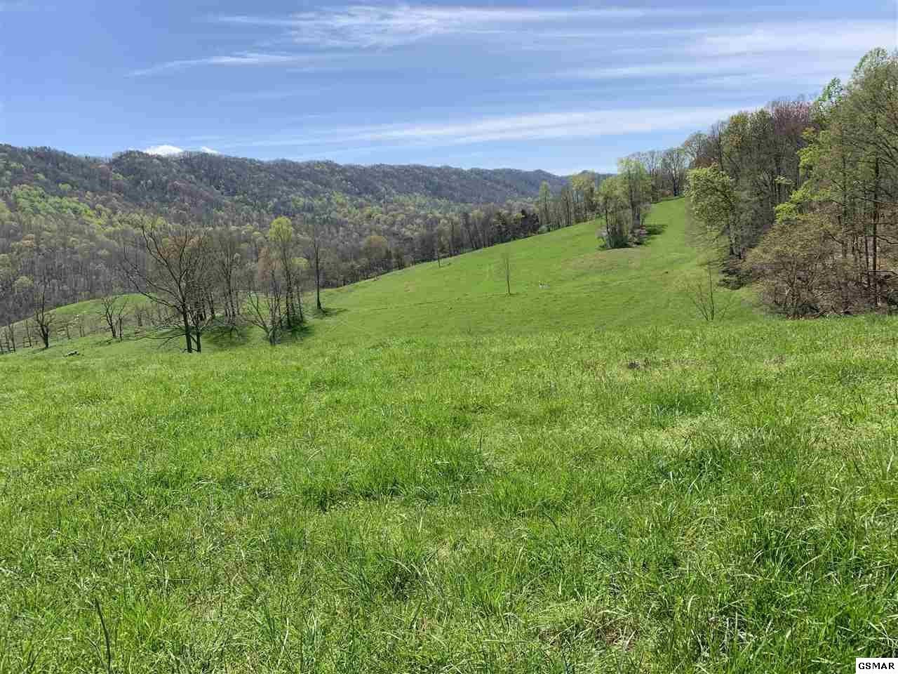617 War Creek Road Eidson, TN 37731 - Photo 10 of 35