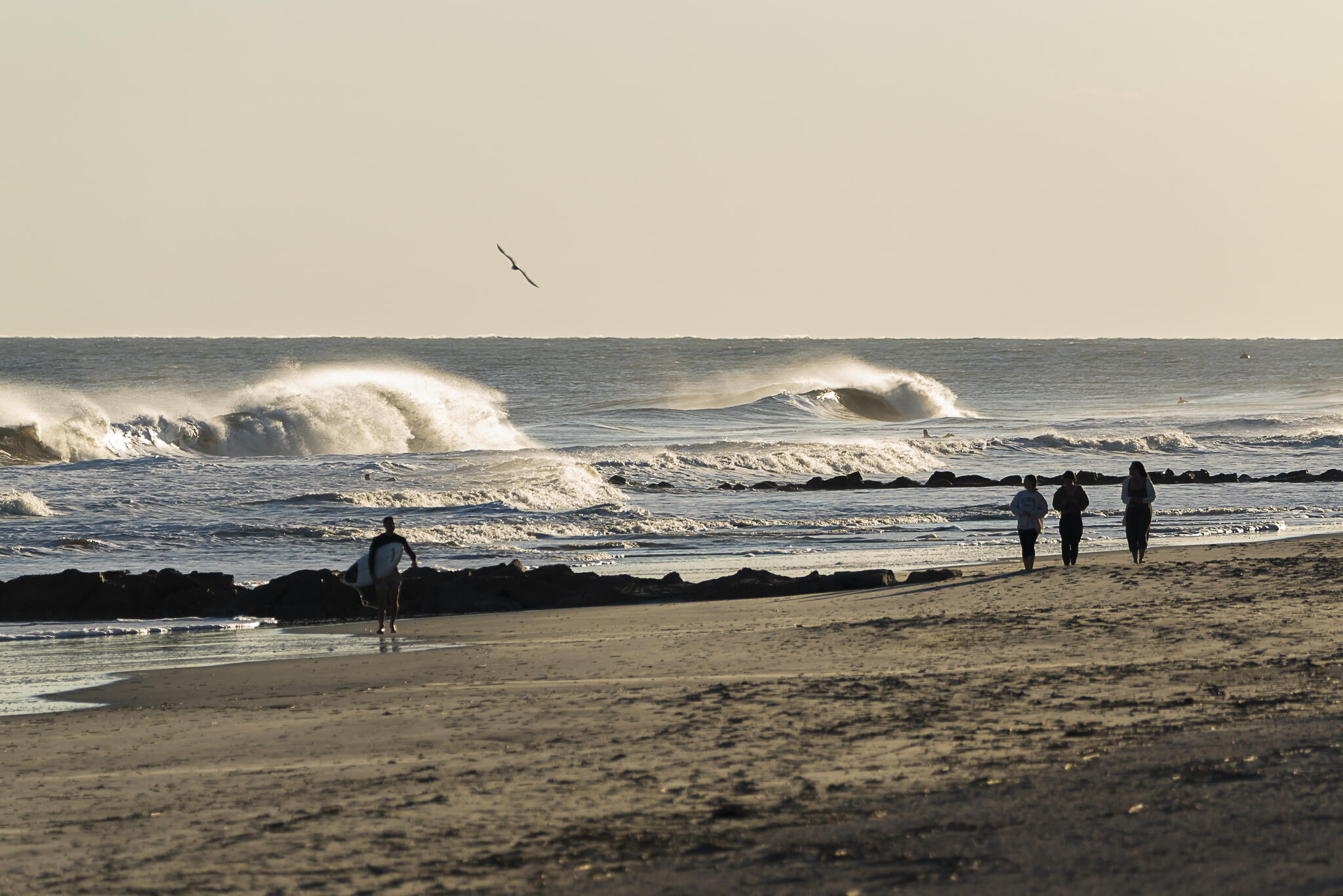 420 East Erie Avenue Folly Beach, SC 29439 - Photo 73 of 82 JUSTIN.MORRIS-5104