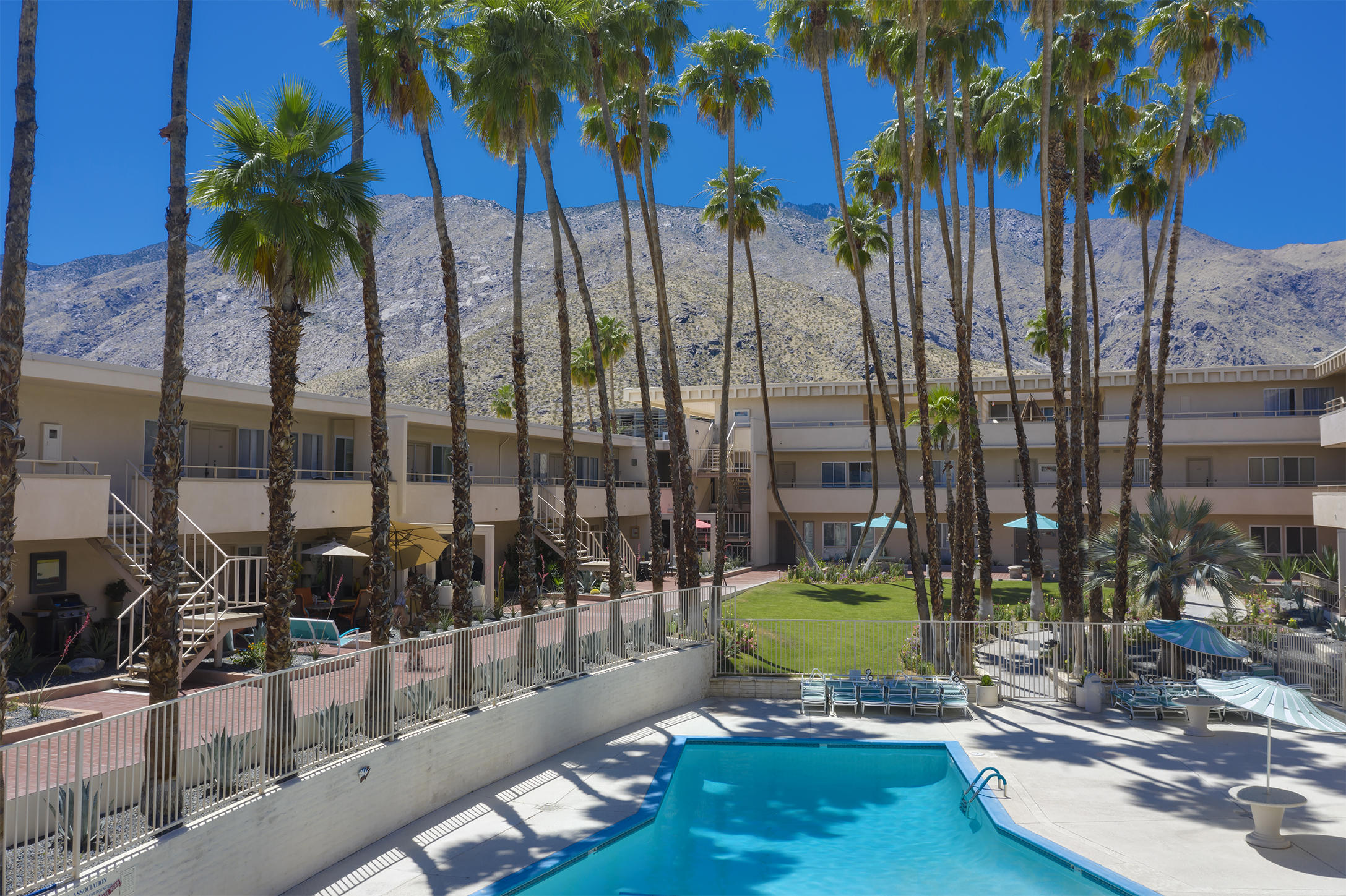 277 East Alejo Road, Unit 101 Palm Springs, CA 92262 - Photo 25 of 30 a view of a backyard with palm trees