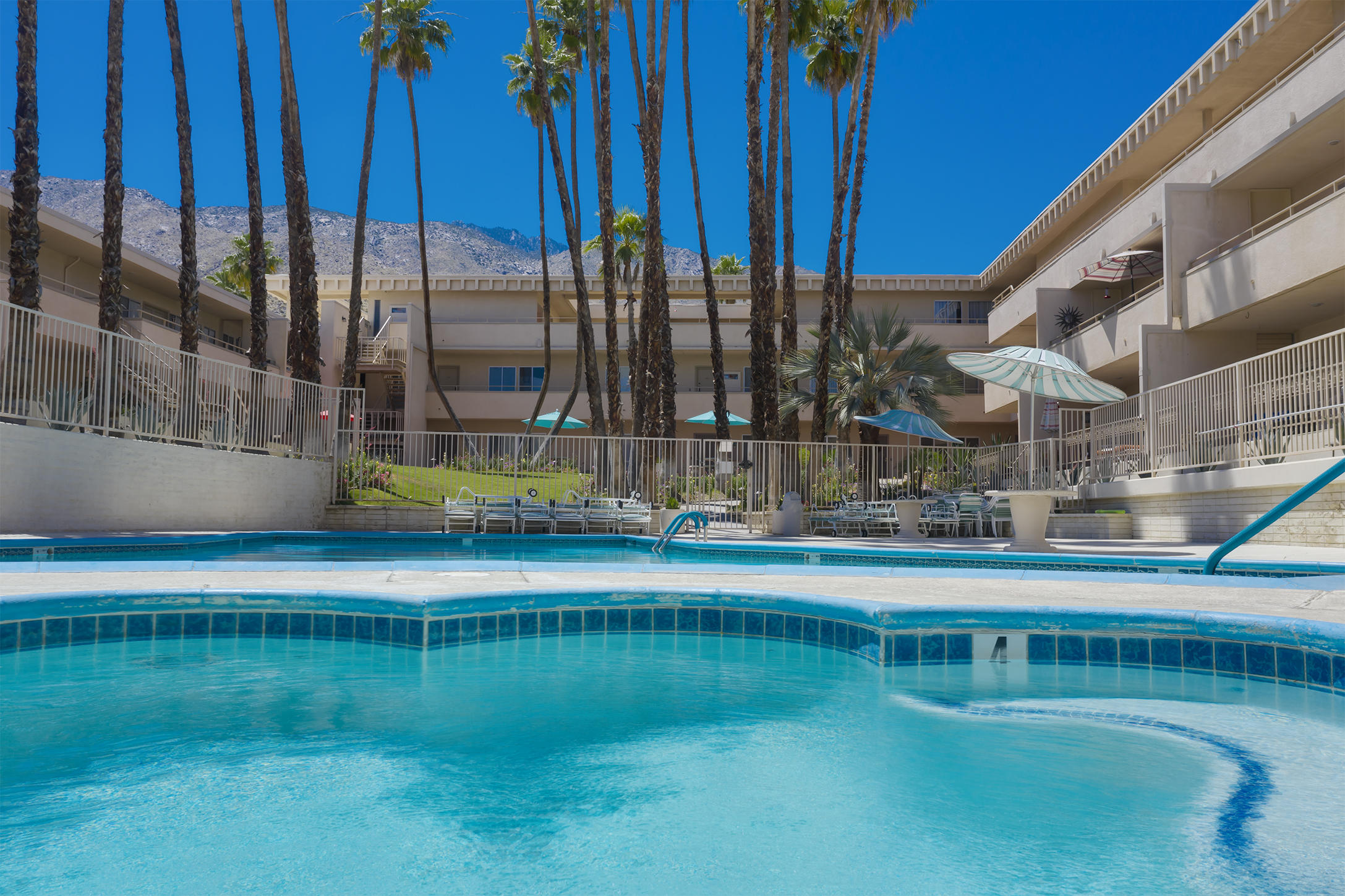 277 East Alejo Road, Unit 101 Palm Springs, CA 92262 - Photo 28 of 30 a view of swimming pool with a yard and large tree