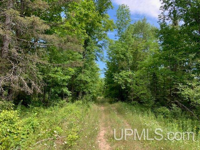 Tbd M69 Nadeau, MI 49863 - Photo 4 of 14