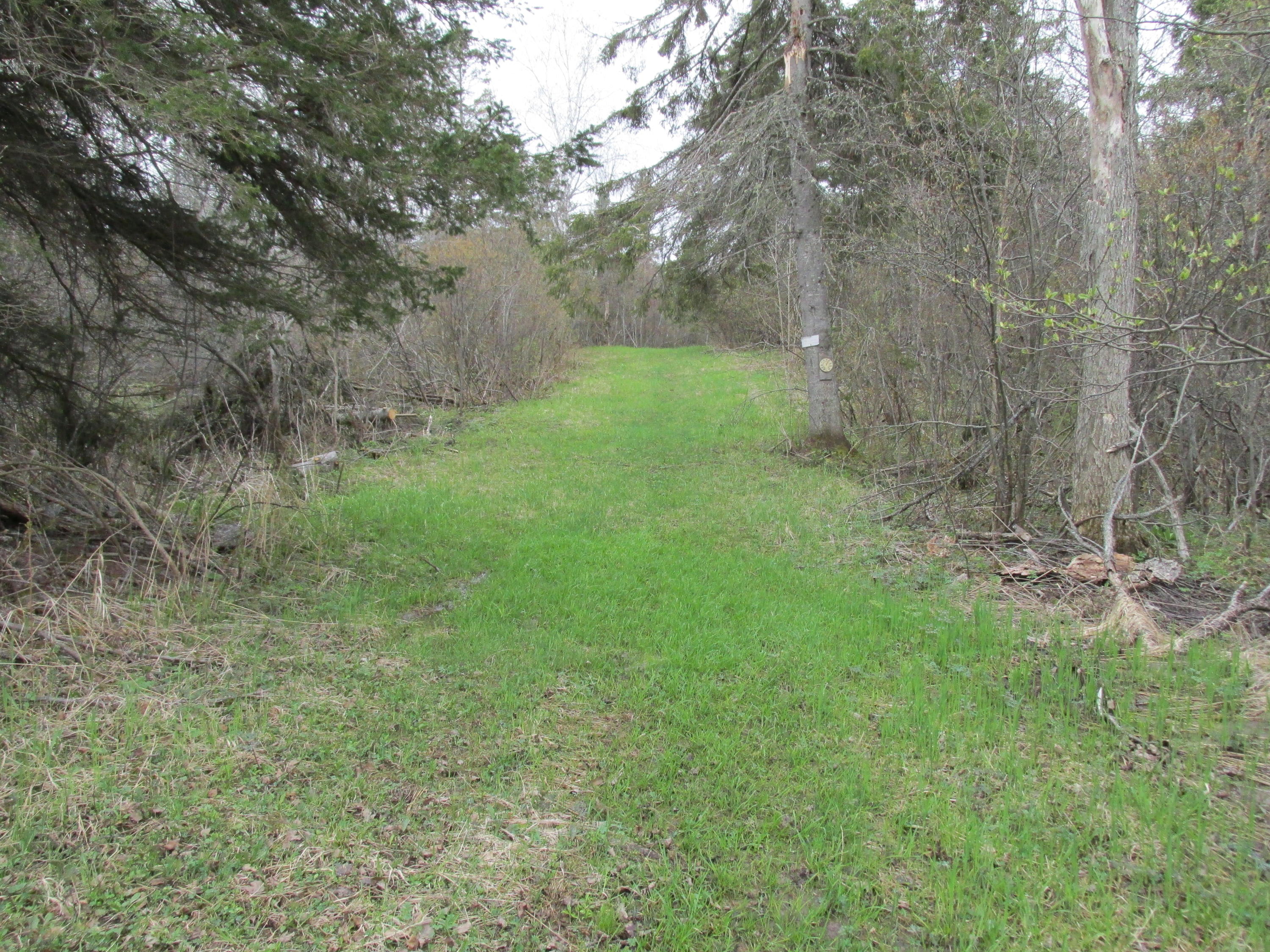 0 West 7 Mile Road Brimley, MI 49715 - Photo 5 of 12 Gallery Image 5