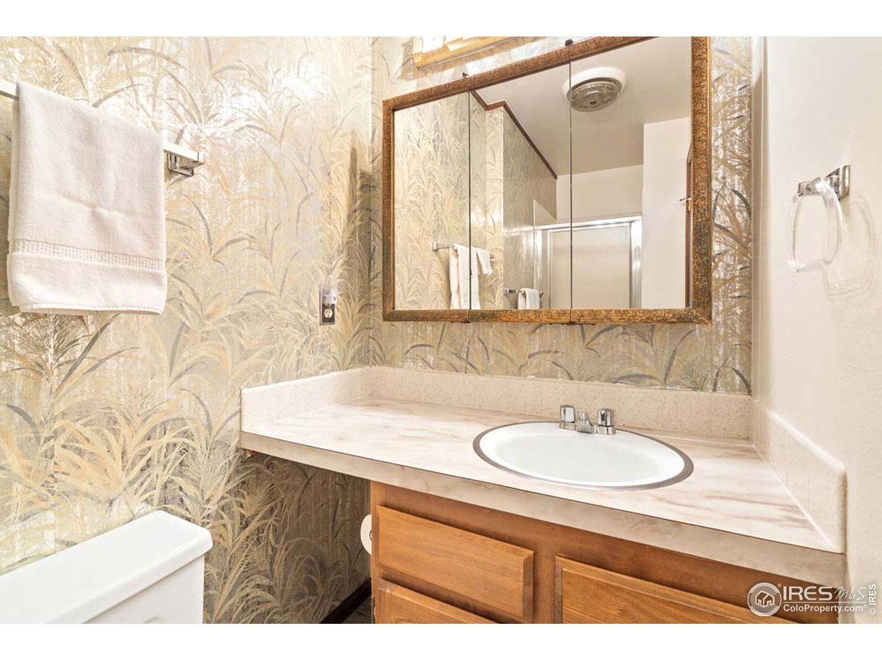 1419 Centennial Road Fort Collins, CO 80525 - Photo 15 of 22 Master 3/4 Bath