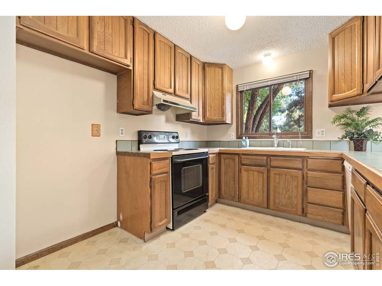 1419 Centennial Road Fort Collins, CO 80525 - Photo 4 of 22 Kitchen