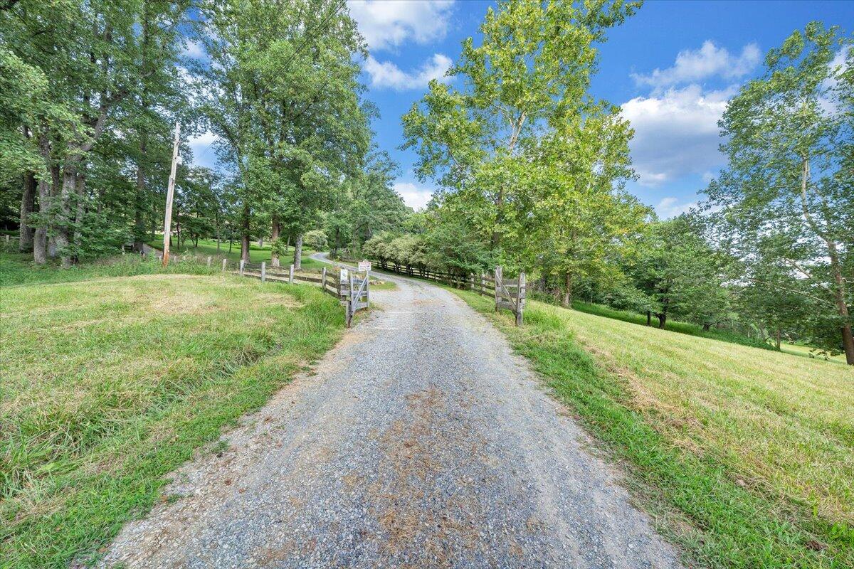 3737 Bore Auger Road Blue Ridge, VA 24064 - Photo 71 of 100 a view of a street with a yard and a trees