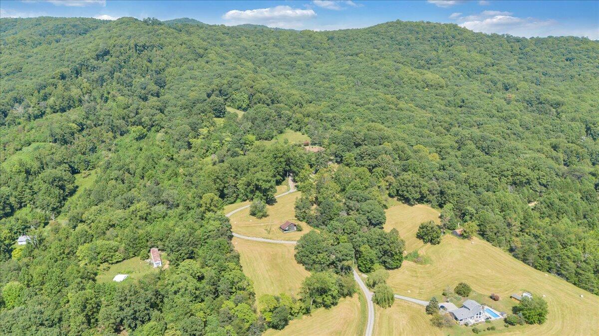 3737 Bore Auger Road Blue Ridge, VA 24064 - Photo 73 of 100 a view of a backyard of a house with a yard