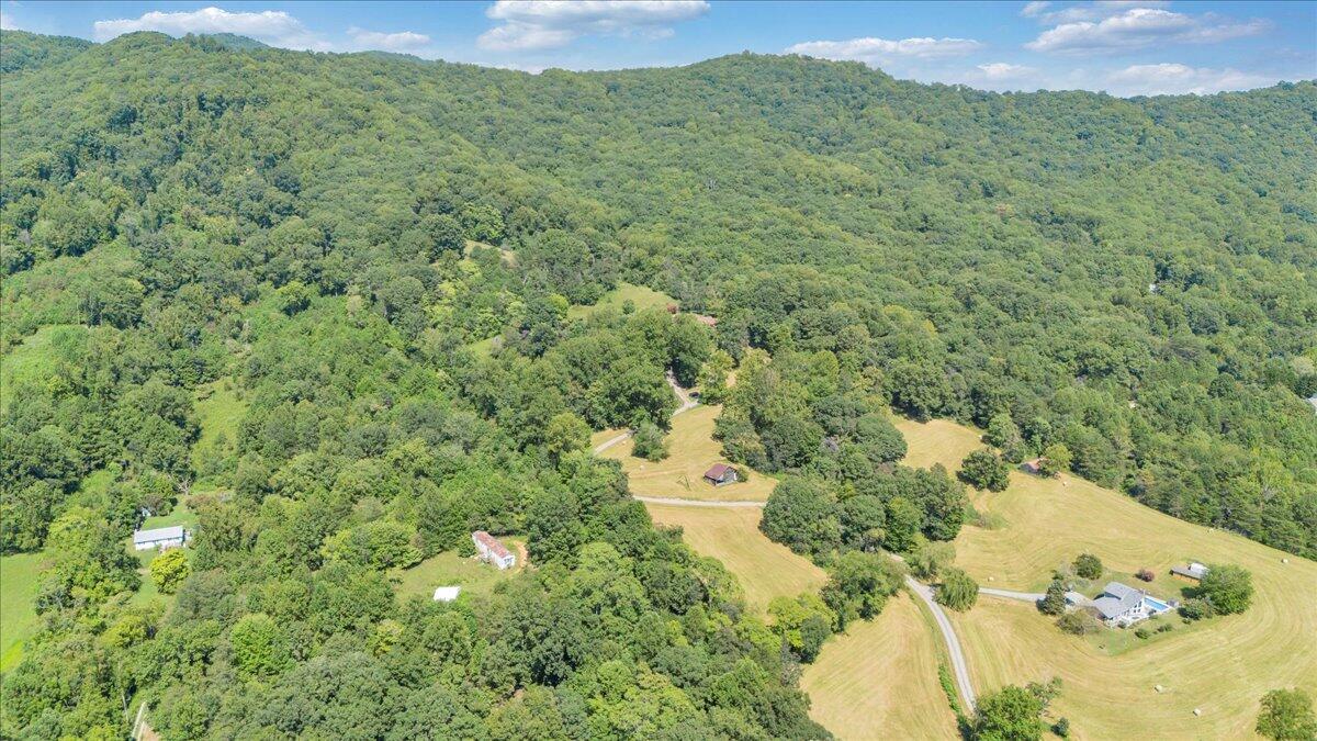 3737 Bore Auger Road Blue Ridge, VA 24064 - Photo 74 of 100 a view of a big yard with large trees