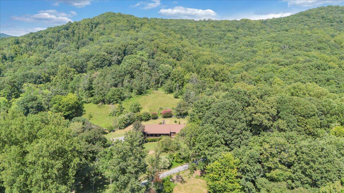 3737 Bore Auger Road Blue Ridge, VA 24064 - Photo 80 of 100 a view of a lush green forest with a mountain
