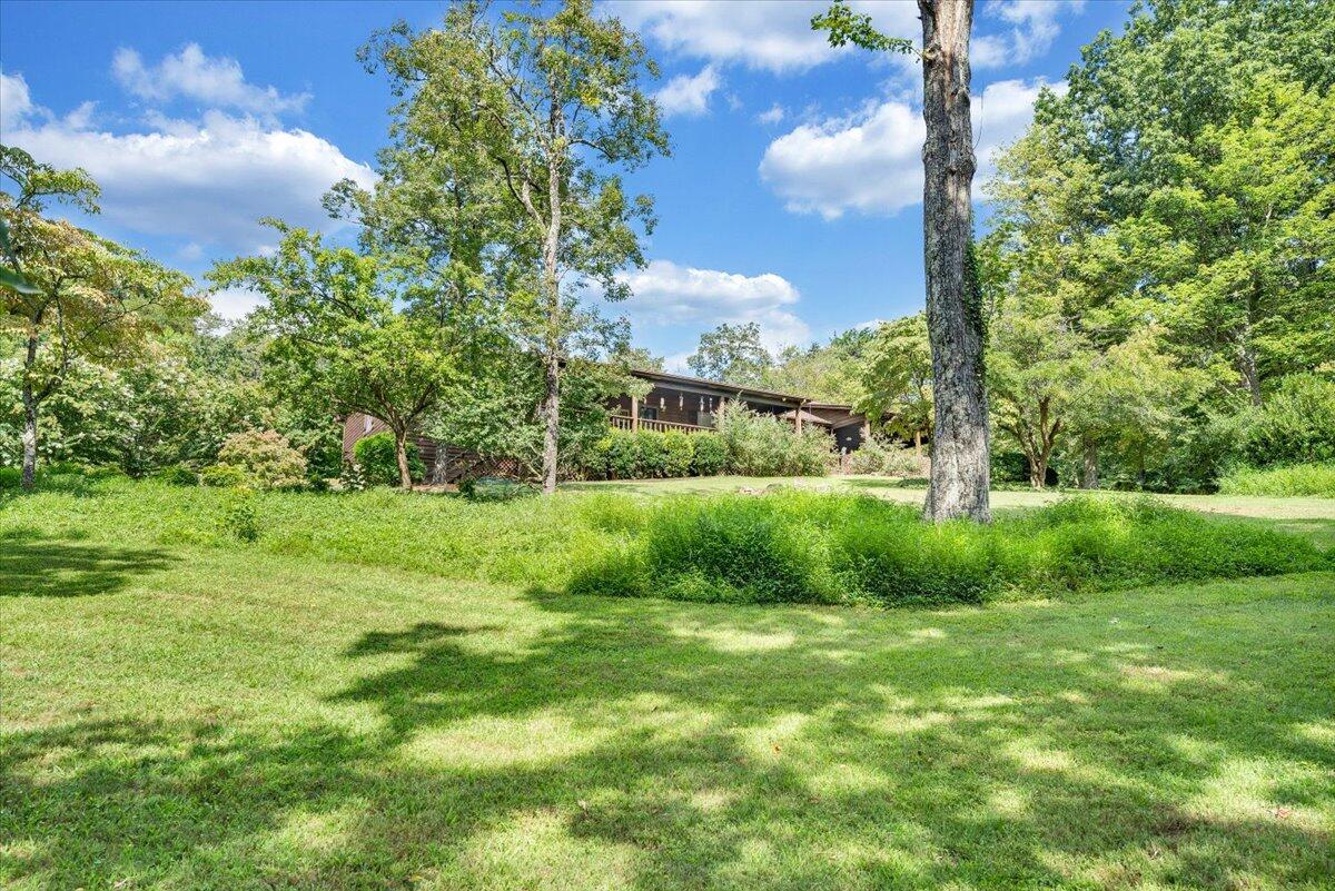 3737 Bore Auger Road Blue Ridge, VA 24064 - Photo 8 of 100 060-MIB09214