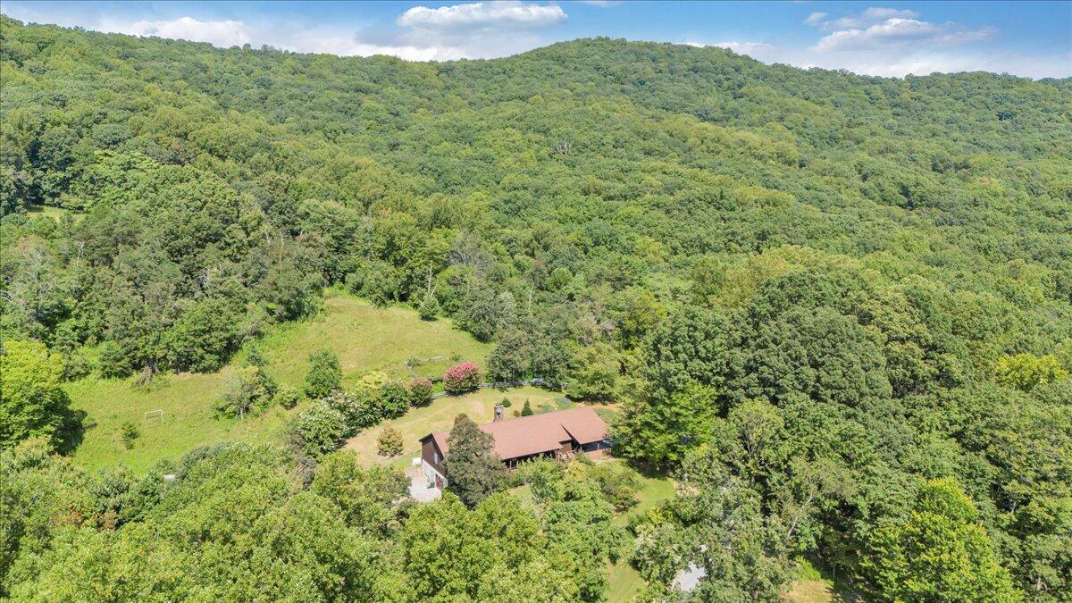3737 Bore Auger Road Blue Ridge, VA 24064 - Photo 81 of 100 a view of a lush green field
