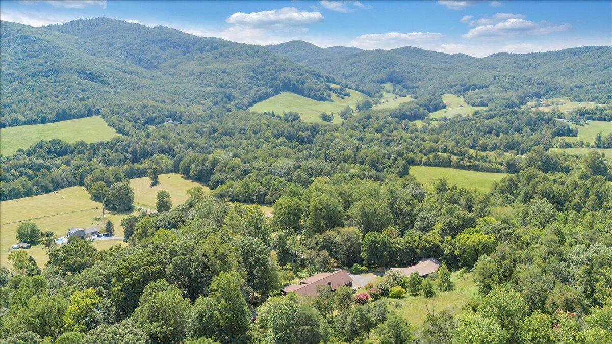 3737 Bore Auger Road Blue Ridge, VA 24064 - Photo 85 of 100 an aerial view of a house with a yard