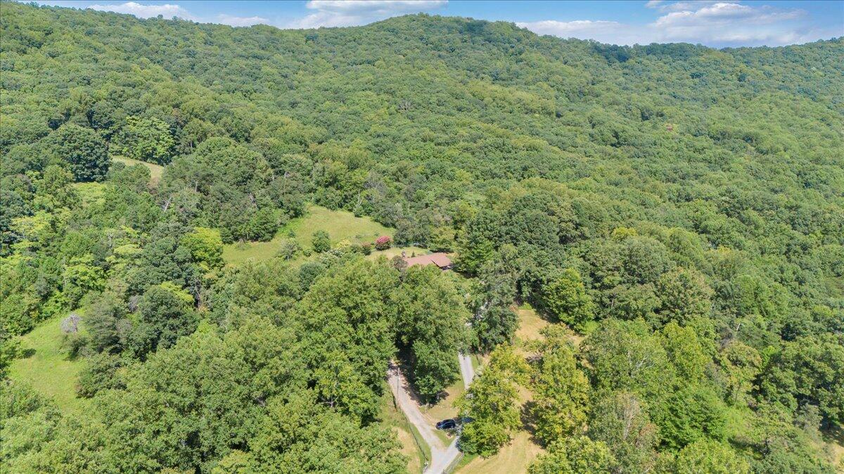 3737 Bore Auger Road Blue Ridge, VA 24064 - Photo 87 of 100 087-DJI_20250821152759_0052_D