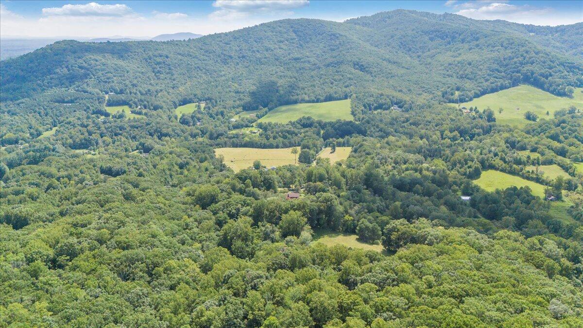 3737 Bore Auger Road Blue Ridge, VA 24064 - Photo 88 of 100 088-DJI_20250821152926_0053_D