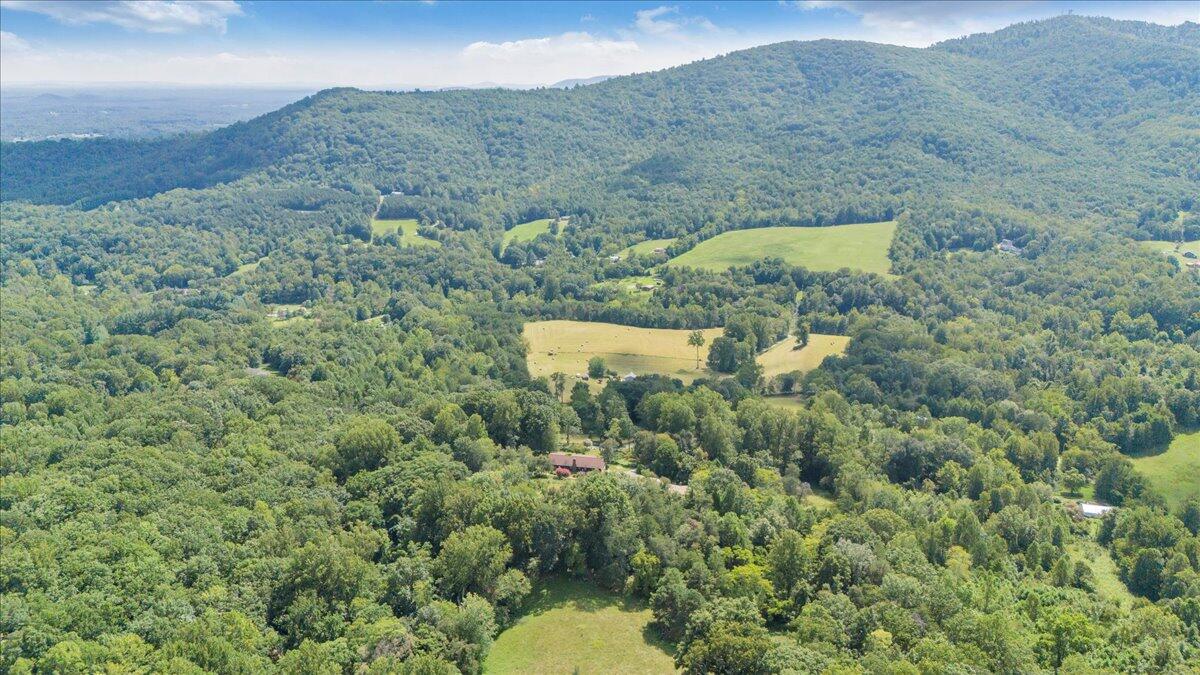 3737 Bore Auger Road Blue Ridge, VA 24064 - Photo 89 of 100 a view of a forest with a mountain