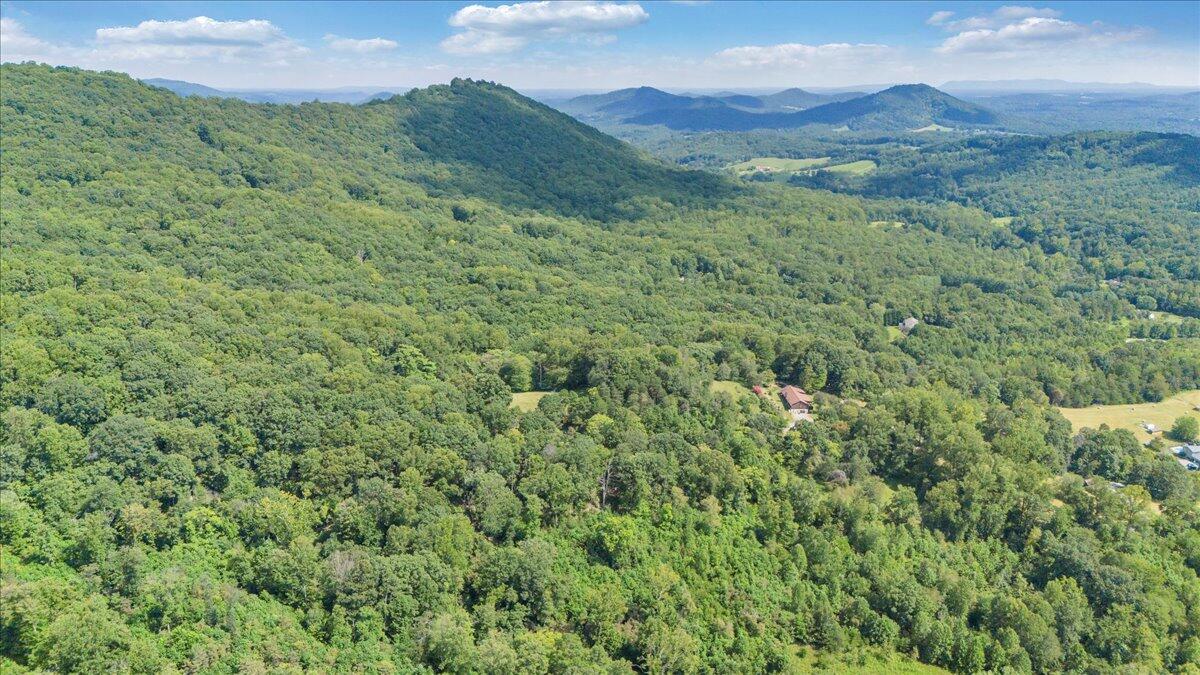 3737 Bore Auger Road Blue Ridge, VA 24064 - Photo 90 of 100 a view of a lush green hillside and a houses