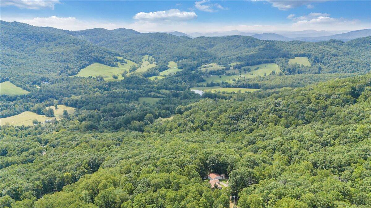 3737 Bore Auger Road Blue Ridge, VA 24064 - Photo 91 of 100 a view of a lush green hillside and houses