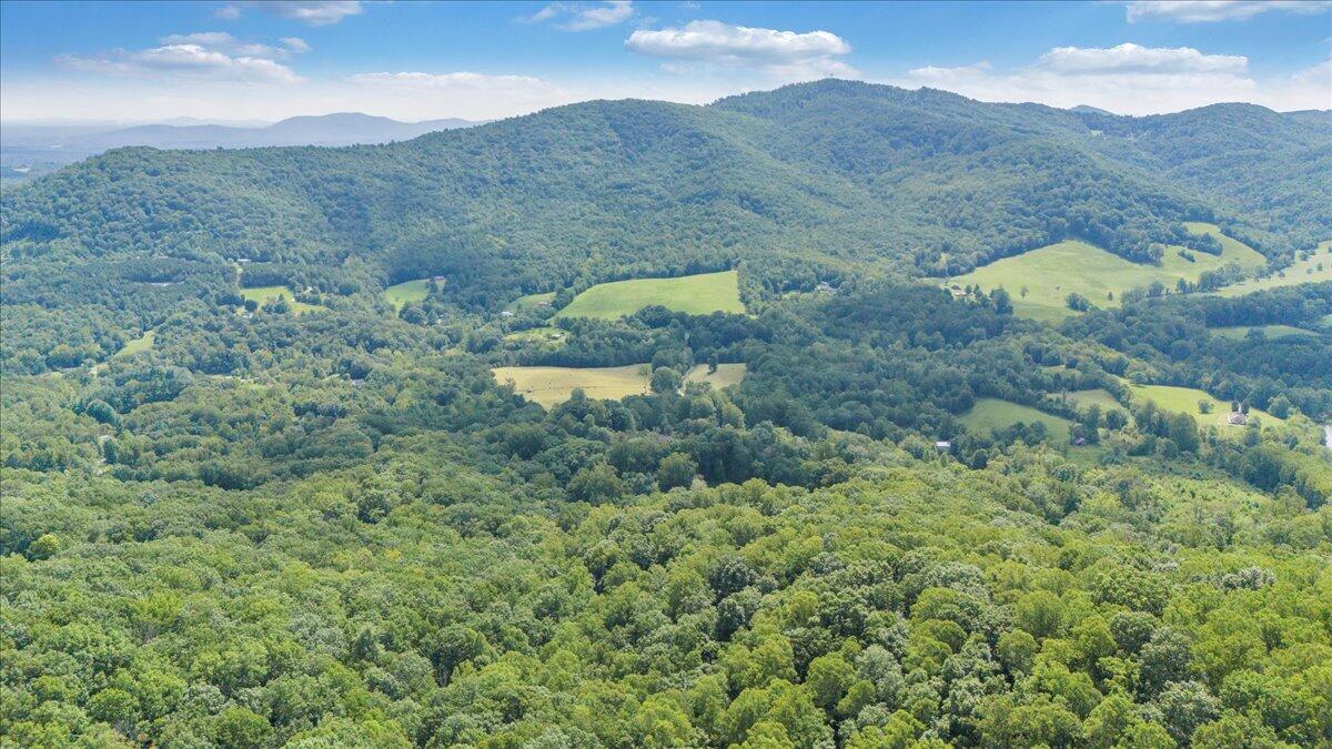 3737 Bore Auger Road Blue Ridge, VA 24064 - Photo 92 of 100 a view of a lush green hillside and a houses
