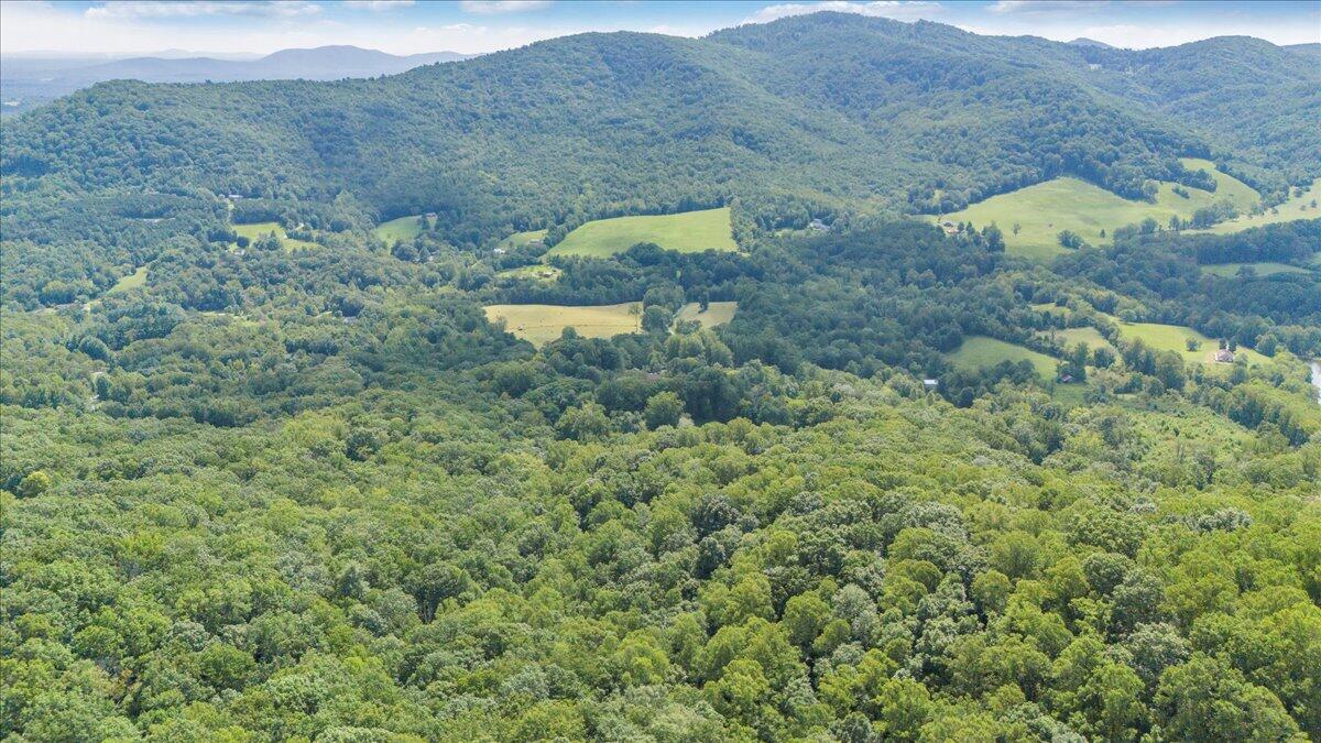 3737 Bore Auger Road Blue Ridge, VA 24064 - Photo 93 of 100 a view of a lush green hillside and a mountain