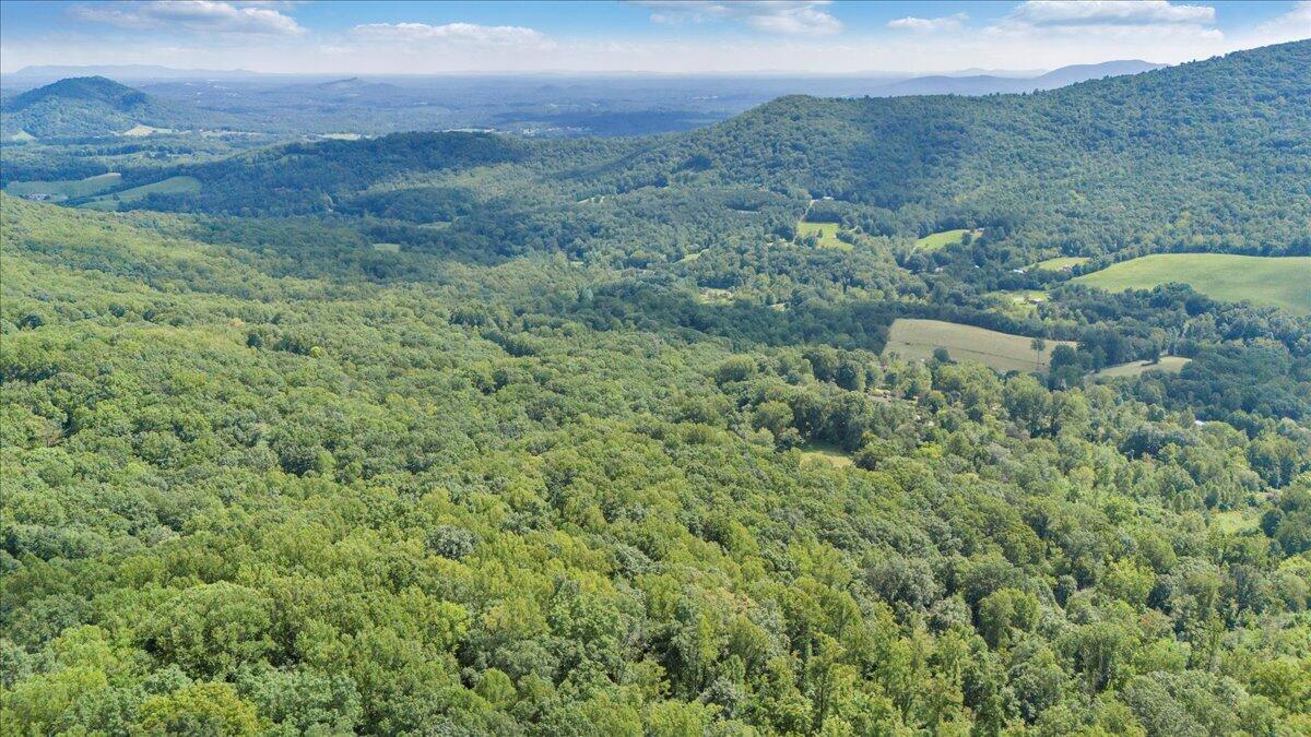 3737 Bore Auger Road Blue Ridge, VA 24064 - Photo 94 of 100 a view of a lush green field
